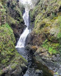 Scenic view of waterfall in forest