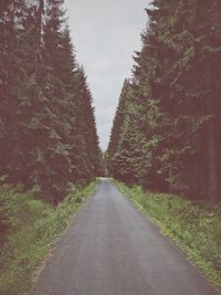 Road amidst trees against sky