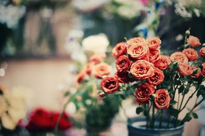 Close-up of rose bouquet on table