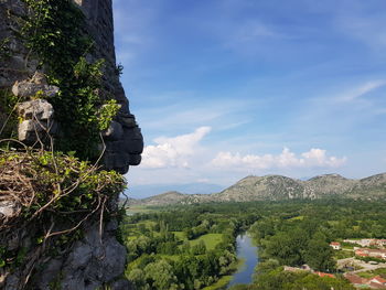 Scenic view of plants and mountains against sky