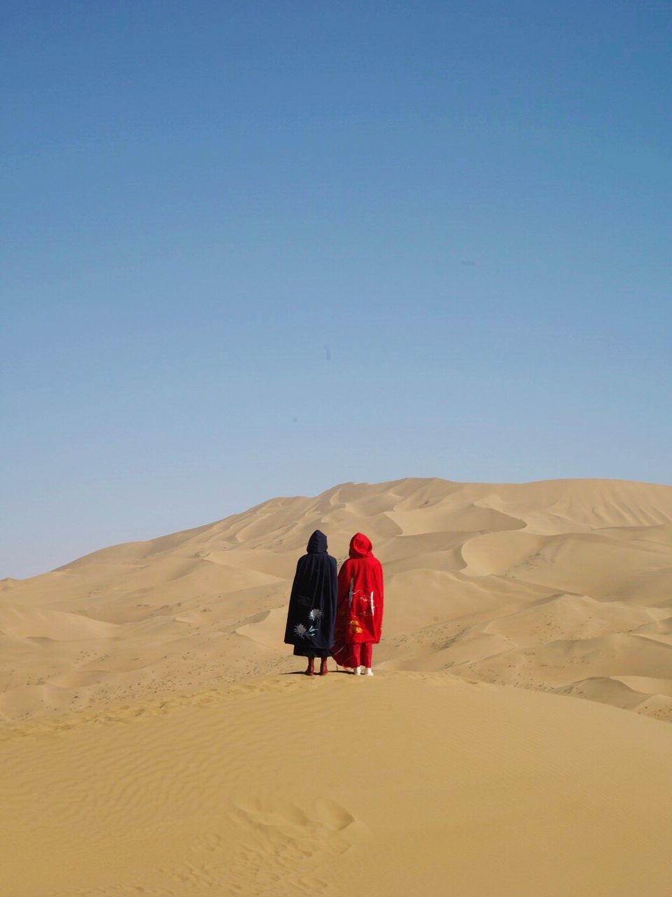 sand, desert, sand dune, arid climate, clear sky, landscape, togetherness, nature, full length, real people, day, scenics, outdoors, sky, lifestyles, men, beauty in nature, mammal, adult, people