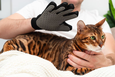 Midsection of woman wearing glove while holding cat