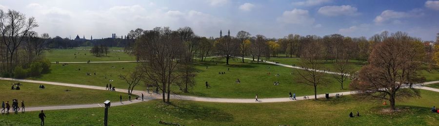 Panoramic shot of trees on field against sky