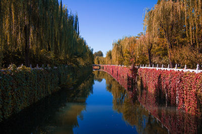 Scenic view of lake against clear blue sky during autumn