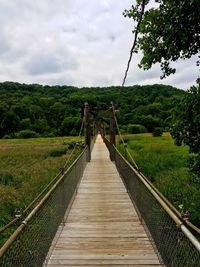 Footpath leading to forest