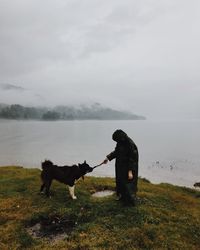 Dog standing on land against sky