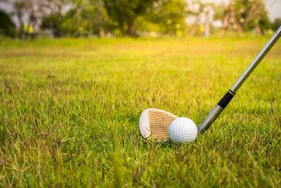 Close-up of golf ball on field