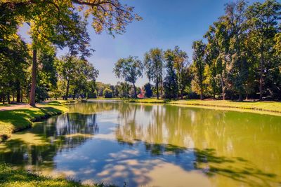 Scenic view of lake by trees against sky