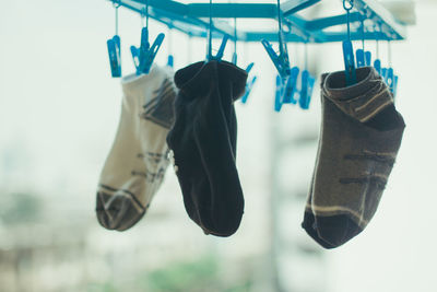 Close-up of clothes hanging on clothesline