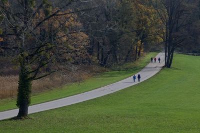 People walking on road in public park