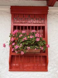 Potted plant against wall