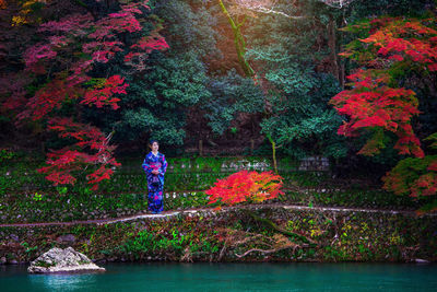 Plants and trees by river in forest