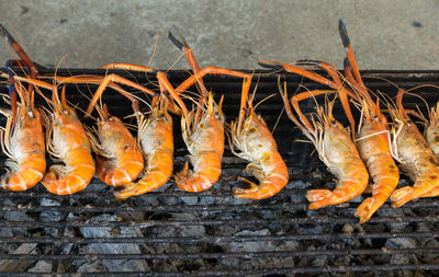 High angle view of fish on barbecue grill