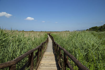 Boardwalk amidst plants on field against sky