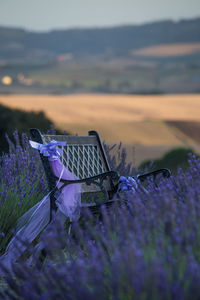 Empty bench on field against sky during sunset