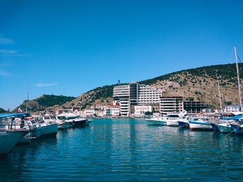 Sailboats moored in harbor