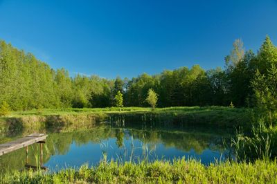 Scenic view of lake against clear blue sky