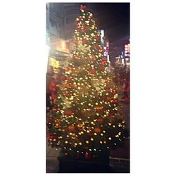 Illuminated christmas tree at night