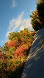 Trees against sky during autumn