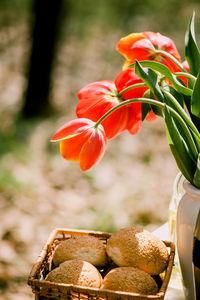 Close-up of flower in vase with food on table