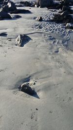 High angle view of crab on beach