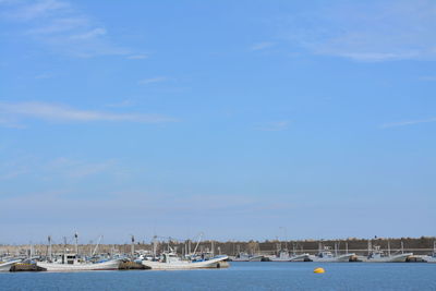 Sailboats moored at harbor against blue sky