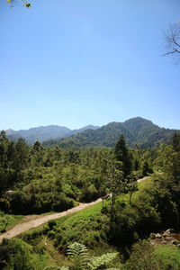 Scenic view of landscape against clear blue sky