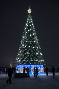 christmas tree