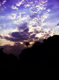 Silhouette of trees against dramatic sky