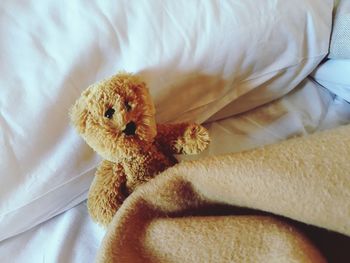 High angle view of stuffed toy on bed