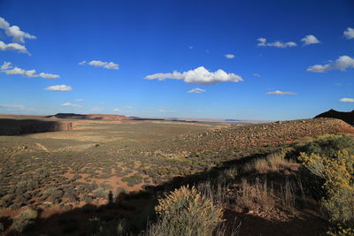 Scenic view of landscape against blue sky