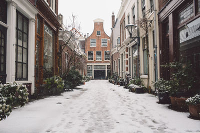 Street amidst houses during winter