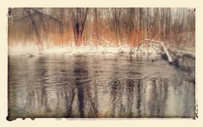 Scenic view of frozen lake in forest during winter