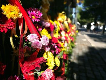 Close-up of flowers blooming outdoors