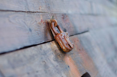 Close-up of rusty metal door