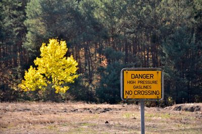 Information sign by trees in forest