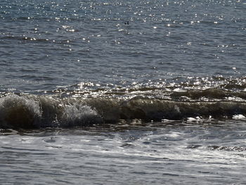 Water swimming in sea