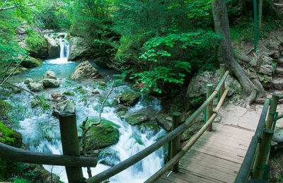 Scenic view of waterfall in forest