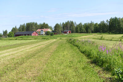 Scenic view of field by houses against sky