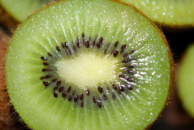 Close-up of bananas