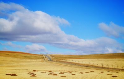 Scenic view of desert against sky