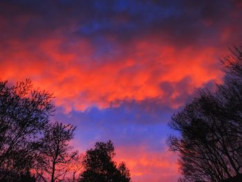 Low angle view of silhouette trees against dramatic sky