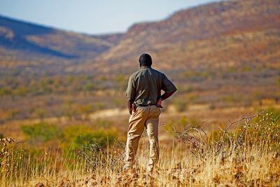 Rear view of police standing on field in forest