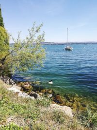 Scenic view of sea against clear sky