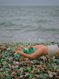 Midsection of person holding pebbles in sea