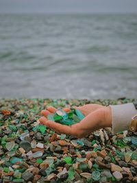 Person holding pebbles against sea