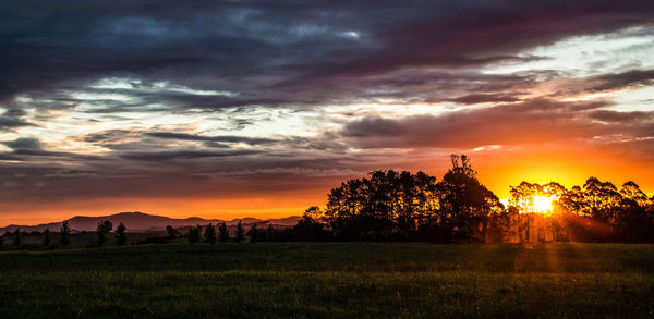 Silhouette trees on field against dramatic sky during sunset