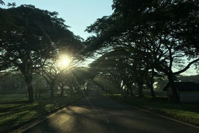 Road amidst trees against sky