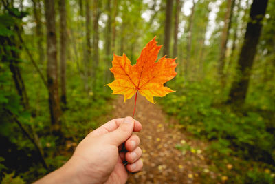 Close-up of hand holding autumn leaf