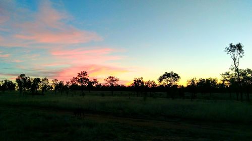 Silhouette trees on field against sky during sunset